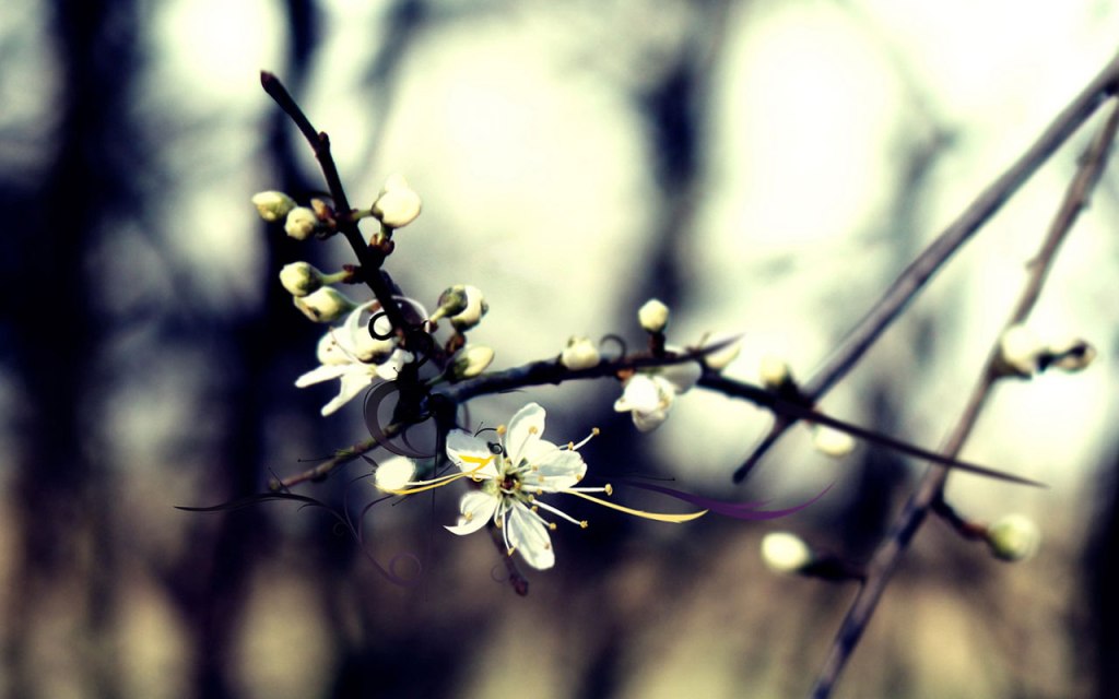 RADIO ABC 891; 4 JUNE 2015; SOCIAL MEDIA&nbsp;NEWS