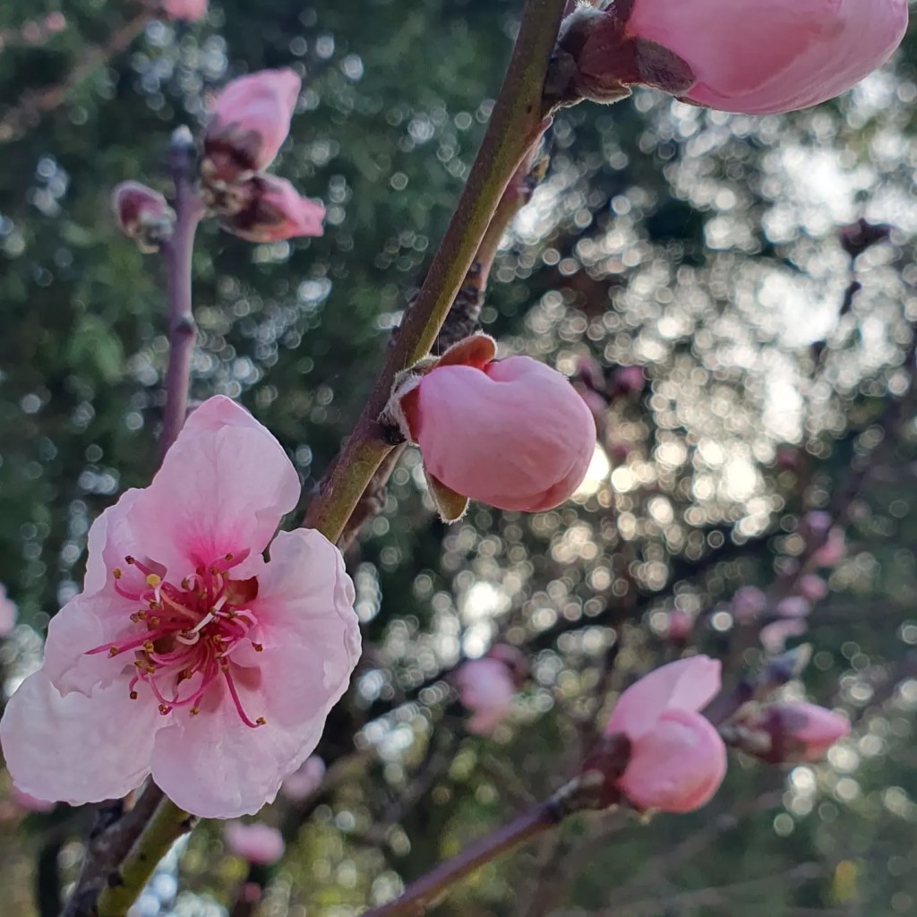 The Art of Reshaping Content: Crafting Clickbait like TV&nbsp;Shows