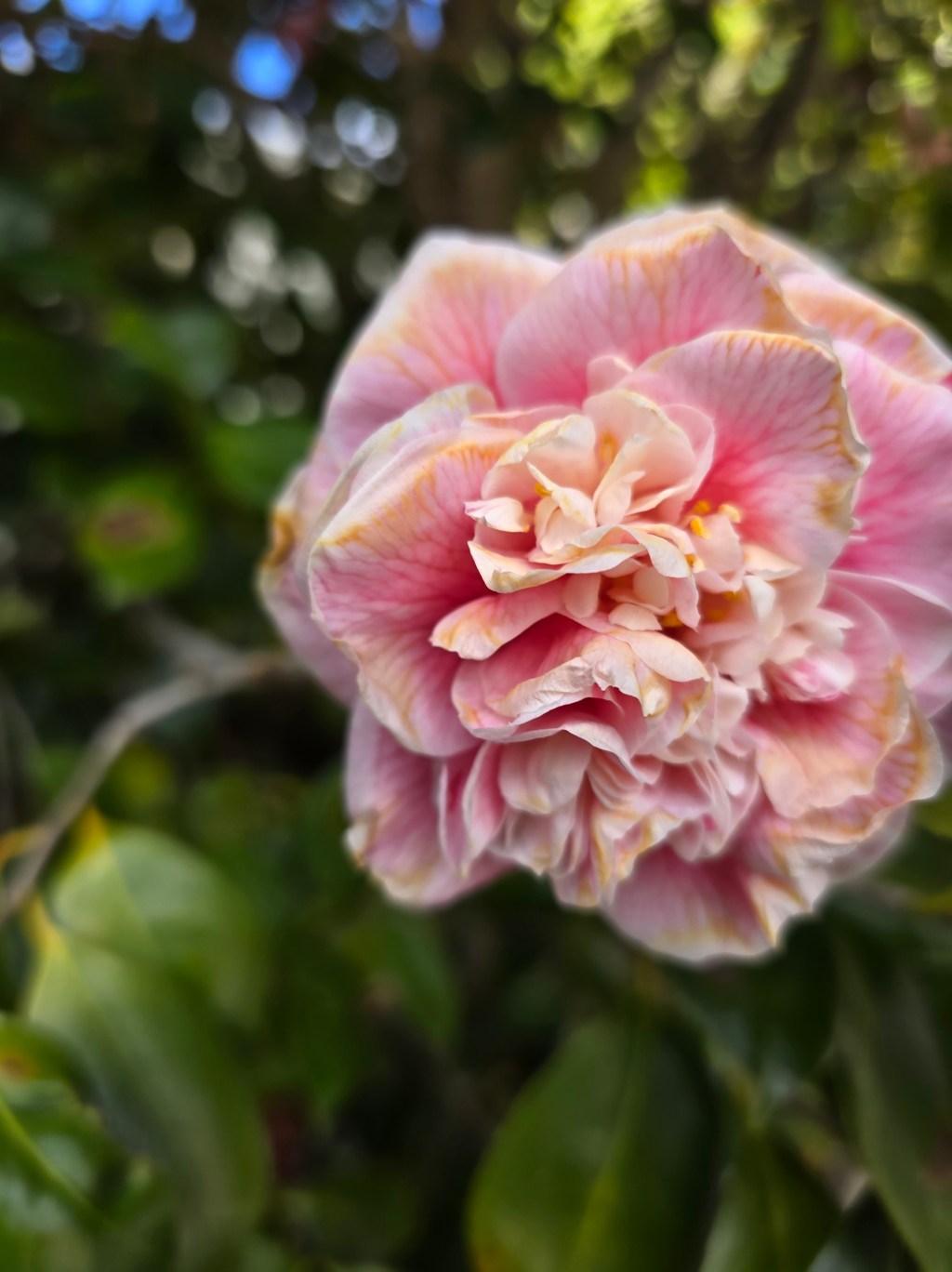 Beyond the Viral Moment: Being the Voice that Outlasts Social Media Trends